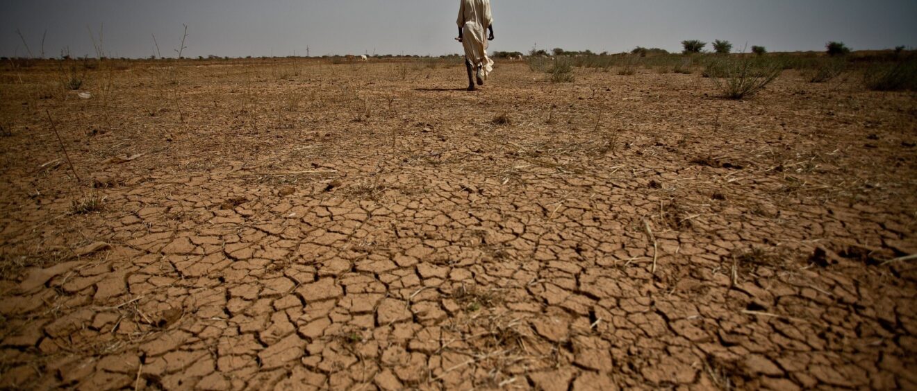 http://www.humanosphere.org/world-politics/2015/06/sahel-drought-displacement-and-conflict-leave-20-million-food-insecure/