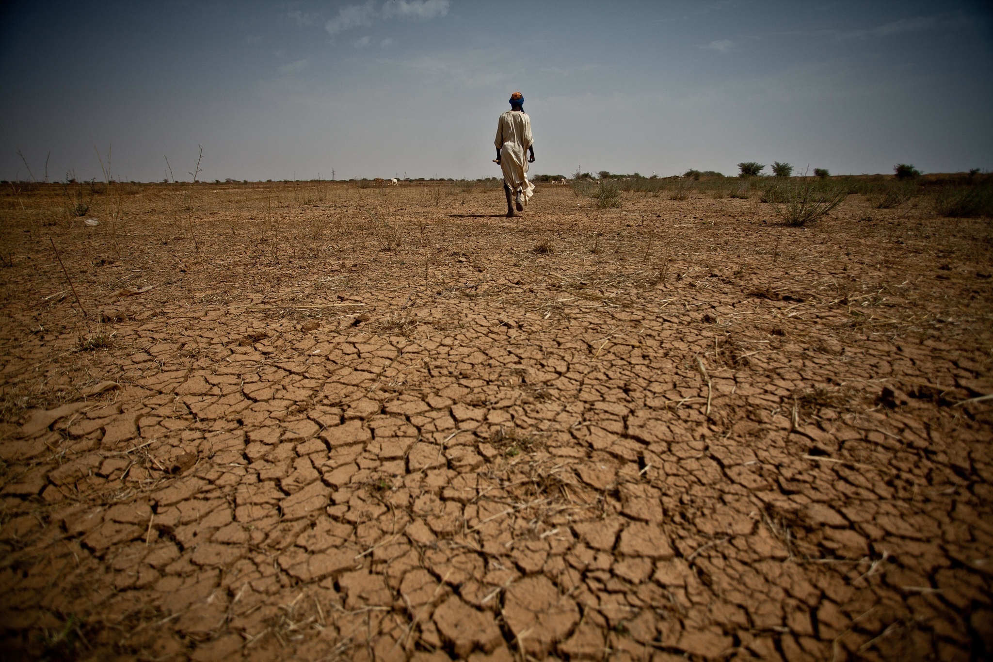 http://www.humanosphere.org/world-politics/2015/06/sahel-drought-displacement-and-conflict-leave-20-million-food-insecure/