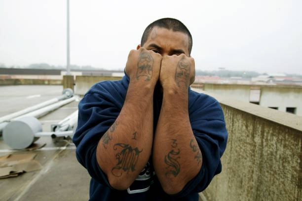 MS13