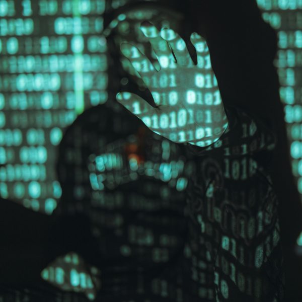 The Terrorist in the Feed: Understanding the New Economy of Terror